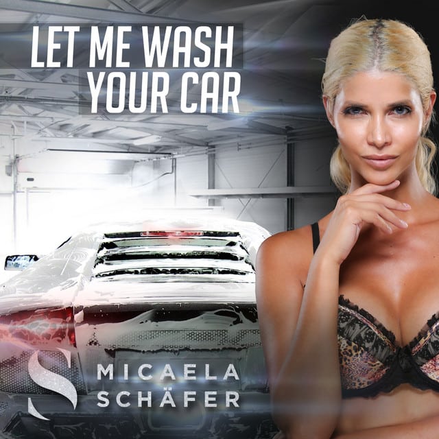 Micaela Schäfer Let me wash your car